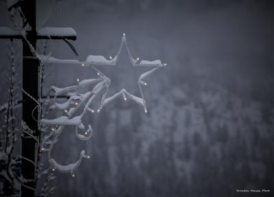 Winter Star Lights